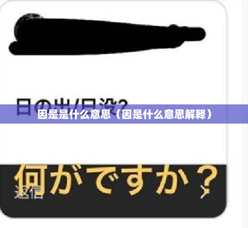 因是是什么意思（因是什么意思解释）