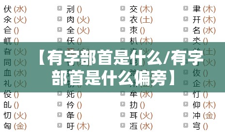 【有字部首是什么/有字部首是什么偏旁】