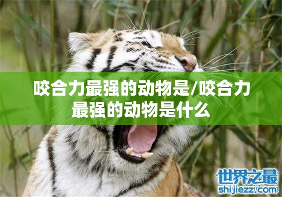咬合力最强的动物是/咬合力最强的动物是什么