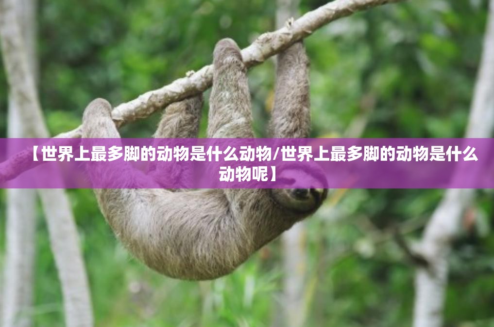 【世界上最多脚的动物是什么动物/世界上最多脚的动物是什么动物呢】