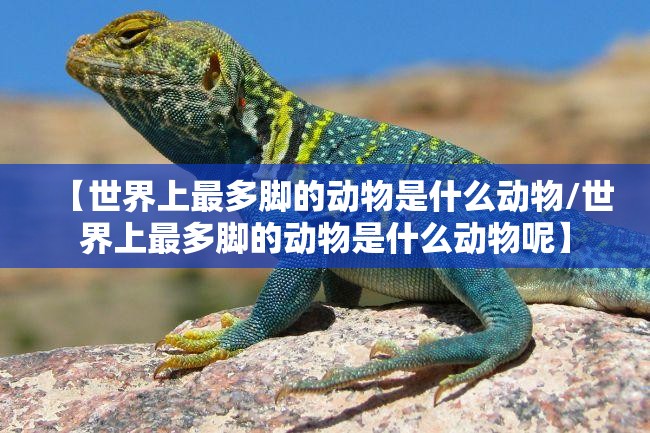 【世界上最多脚的动物是什么动物/世界上最多脚的动物是什么动物呢】