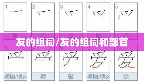 友的组词/友的组词和部首