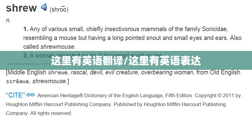 这里有英语翻译/这里有英语表达