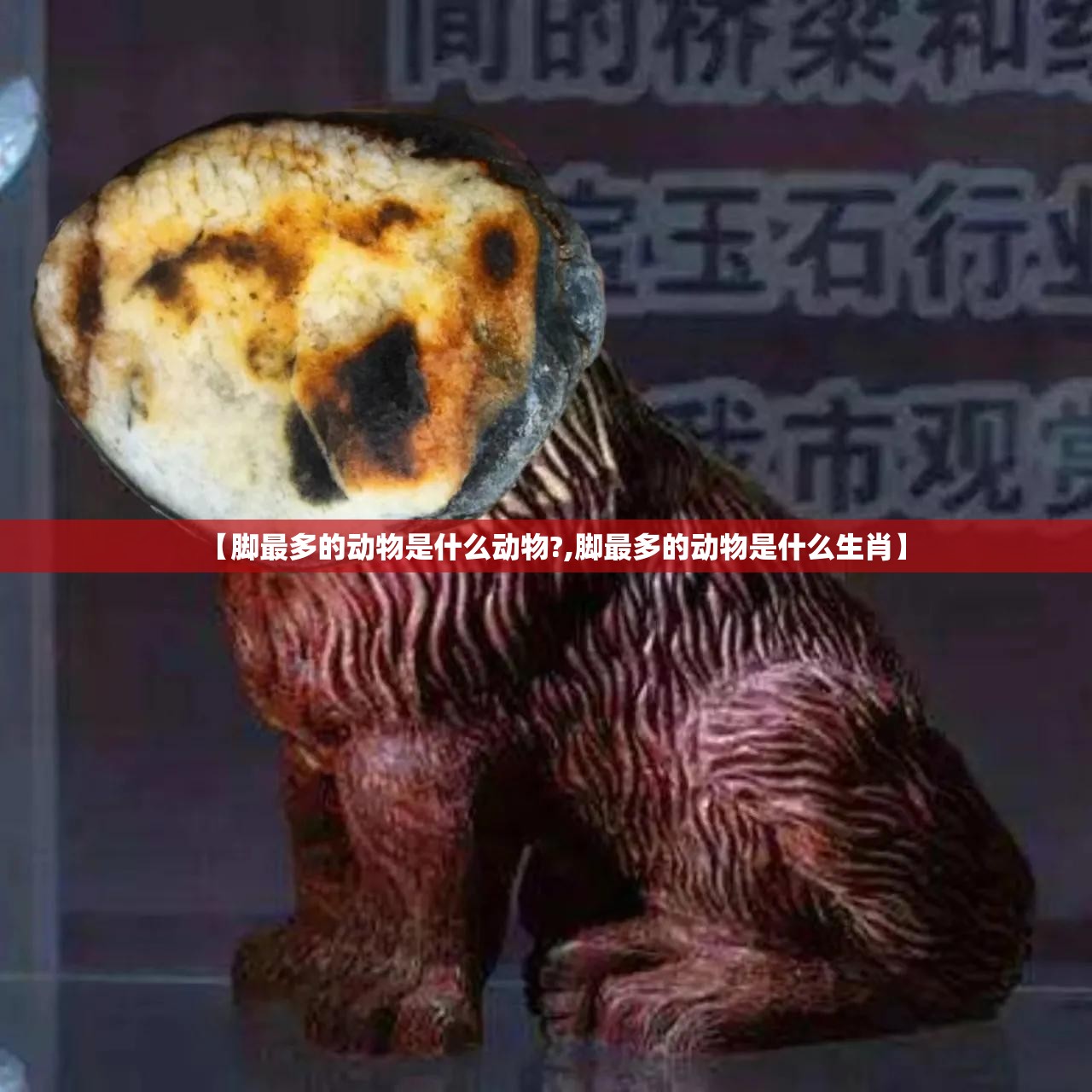 【脚最多的动物是什么动物?,脚最多的动物是什么生肖】