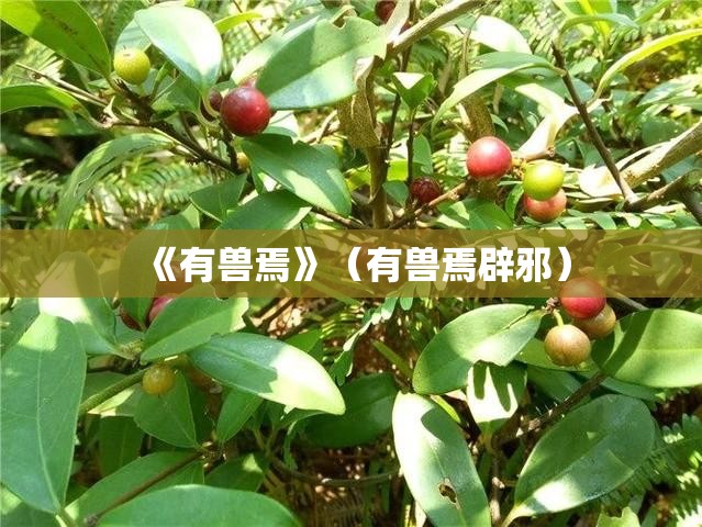 《有兽焉》（有兽焉辟邪）