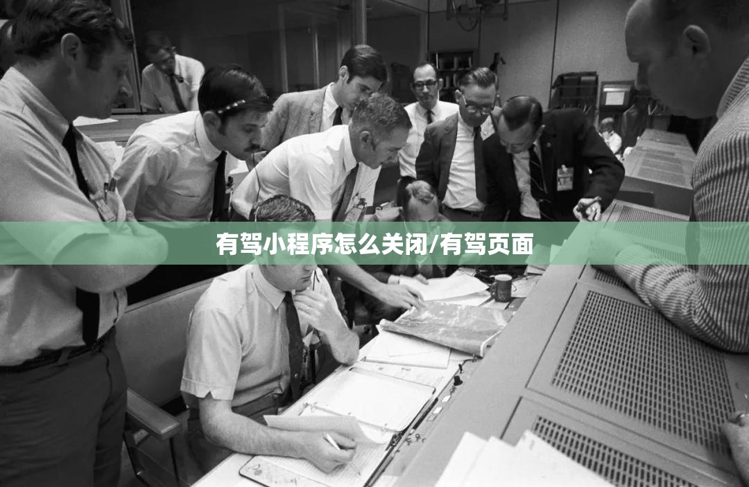 有驾小程序怎么关闭/有驾页面