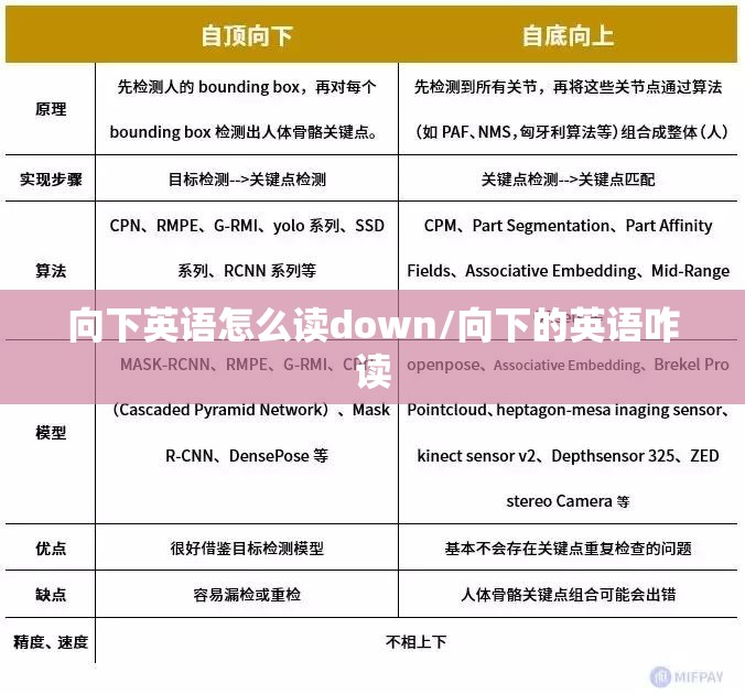 向下英语怎么读down/向下的英语咋读
