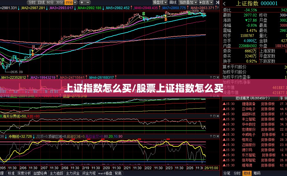 上证指数怎么买/股票上证指数怎么买