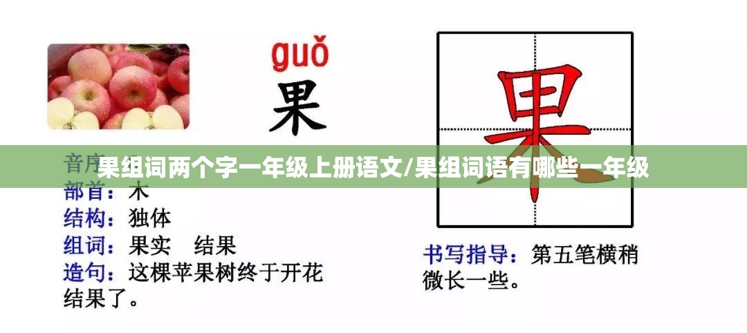 果组词两个字一年级上册语文/果组词语有哪些一年级