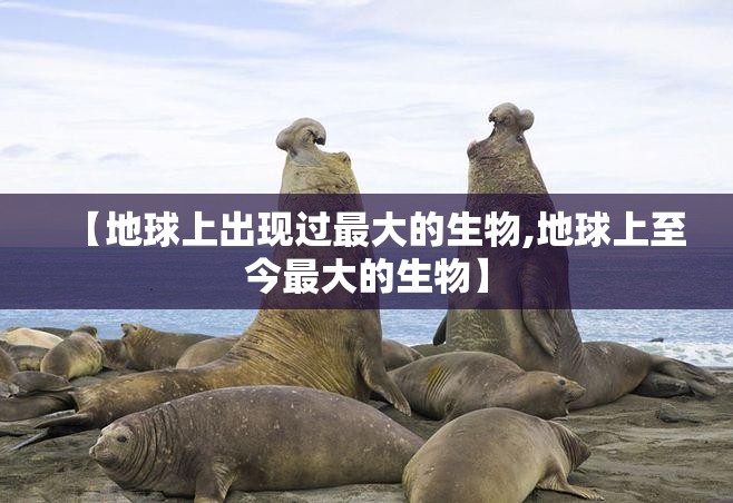 【地球上出现过最大的生物,地球上至今最大的生物】