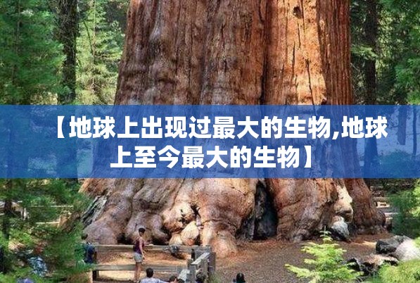 【地球上出现过最大的生物,地球上至今最大的生物】