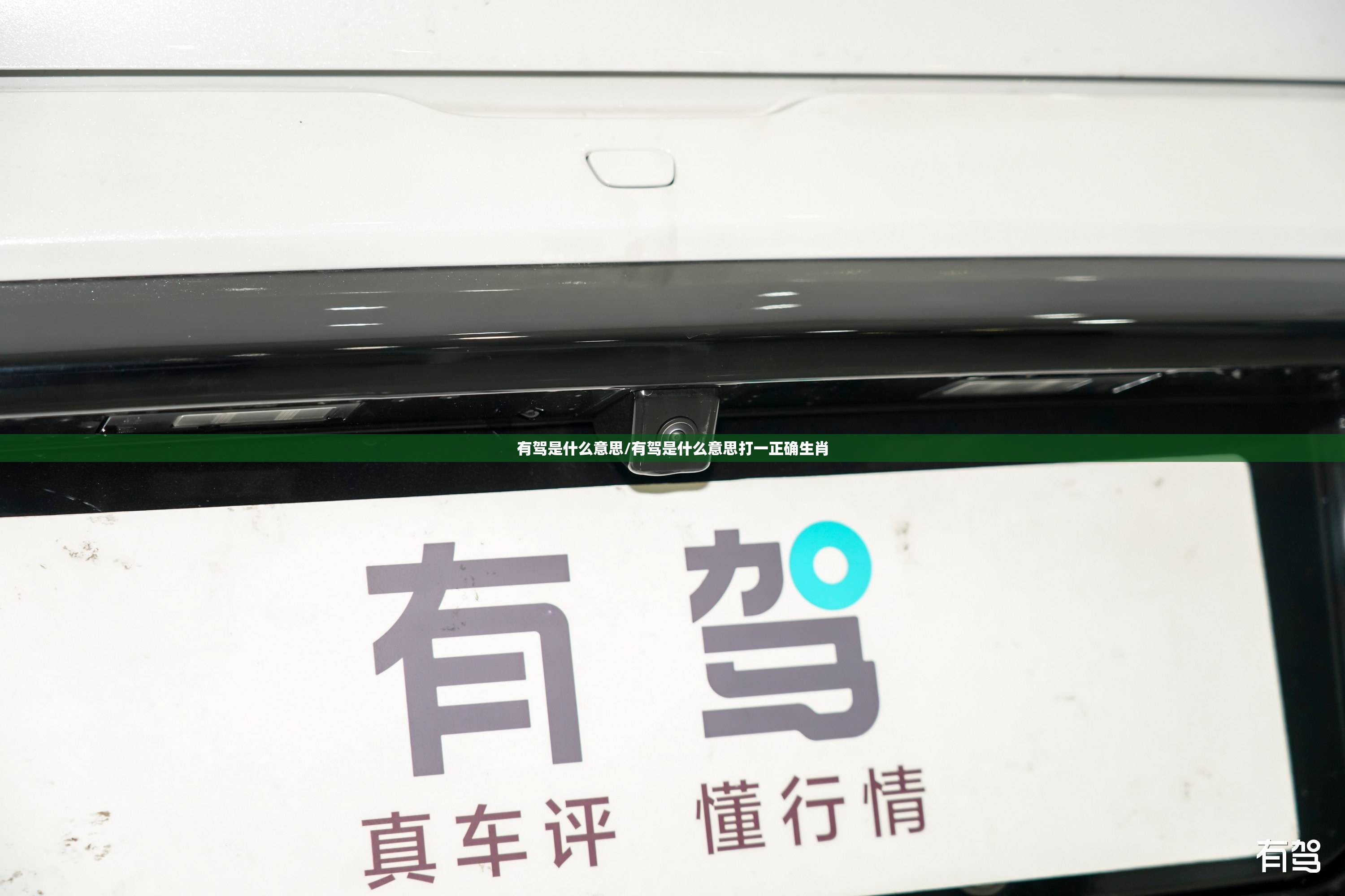 有驾是什么意思/有驾是什么意思打一正确生肖