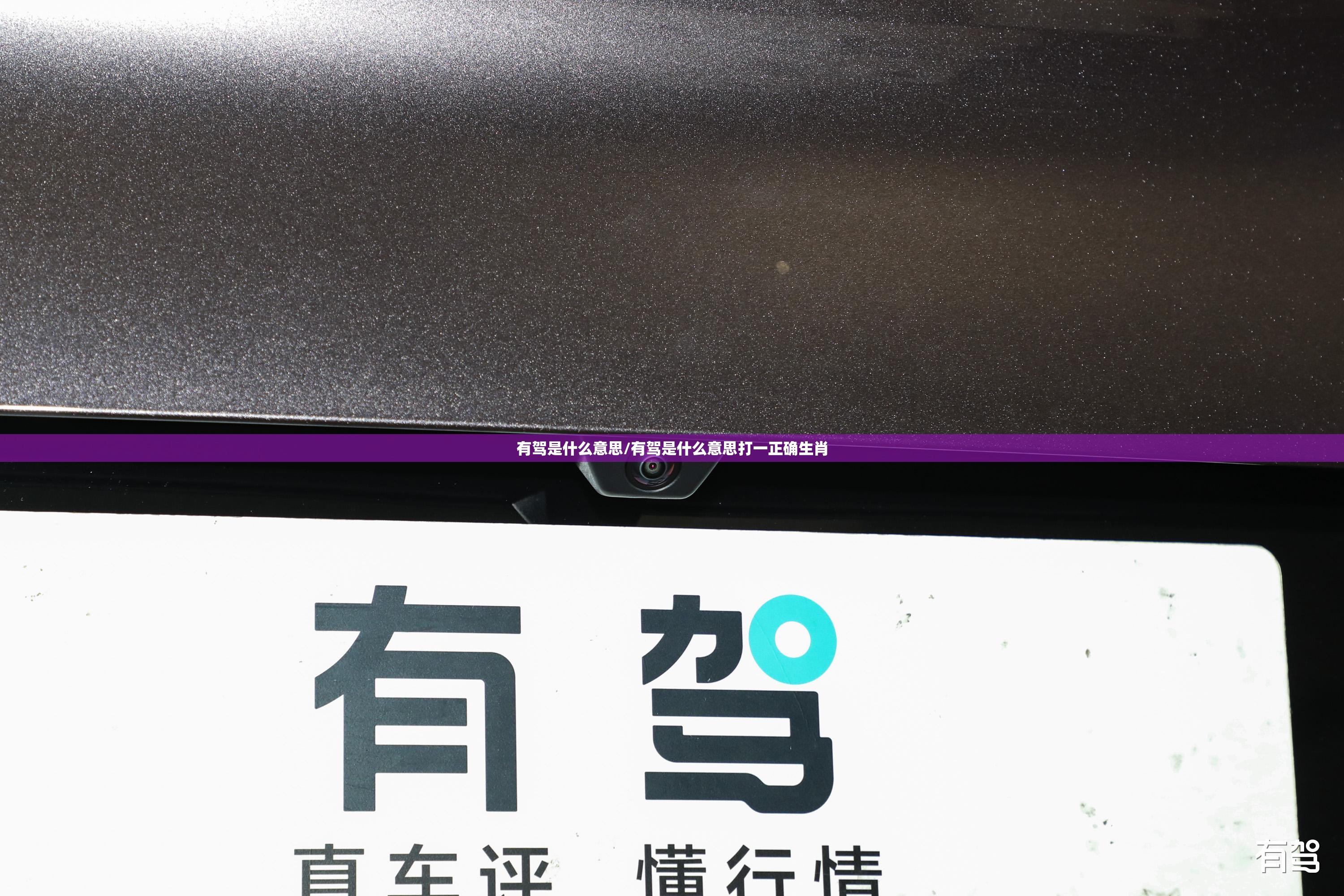 有驾是什么意思/有驾是什么意思打一正确生肖