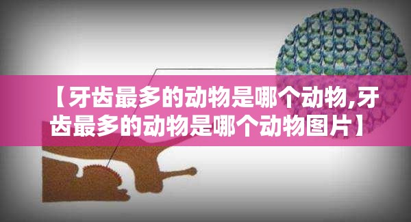 【牙齿最多的动物是哪个动物,牙齿最多的动物是哪个动物图片】