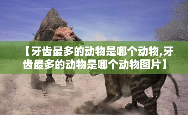 【牙齿最多的动物是哪个动物,牙齿最多的动物是哪个动物图片】