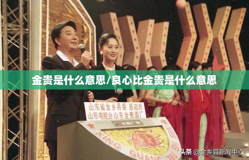 金贵是什么意思/良心比金贵是什么意思