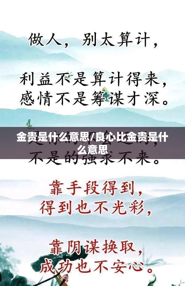 金贵是什么意思/良心比金贵是什么意思