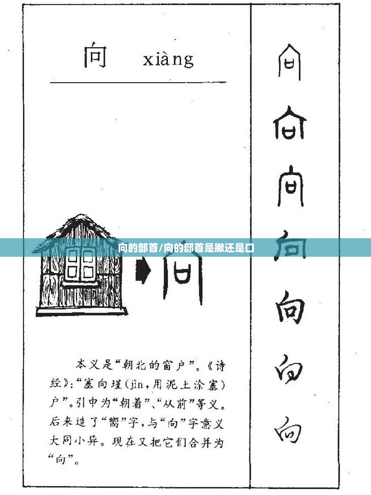 向的部首/向的部首是撇还是口
