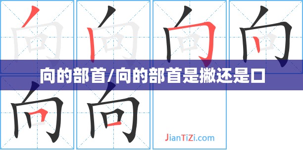 向的部首/向的部首是撇还是口