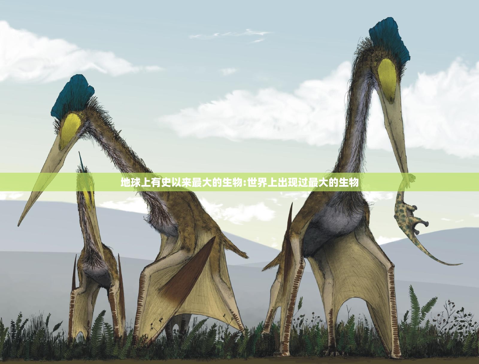 地球上有史以来最大的生物:世界上出现过最大的生物