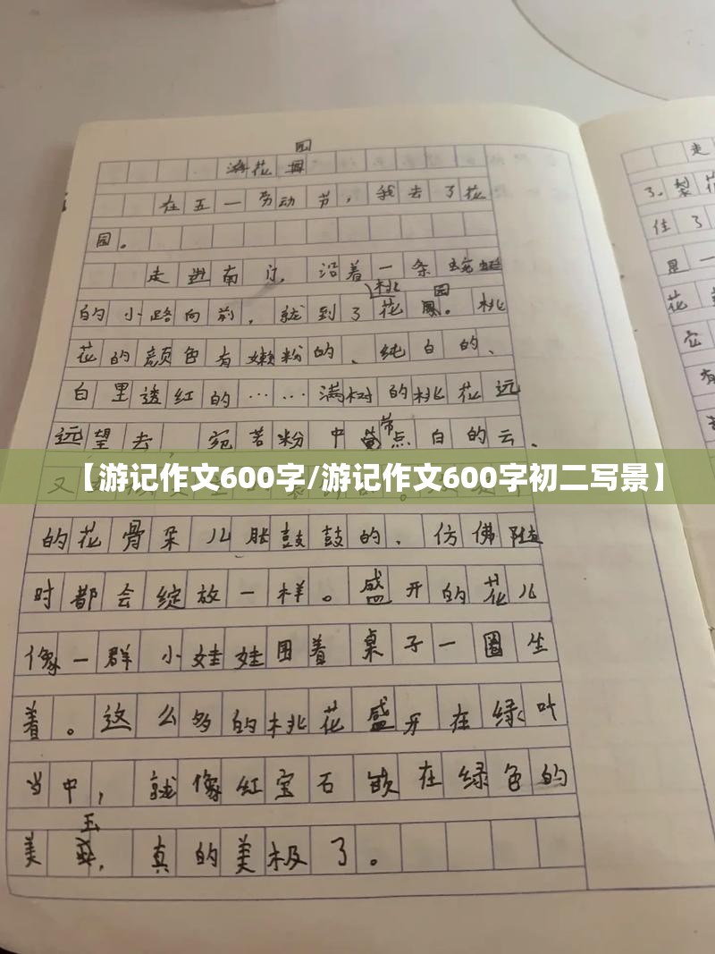 【游记作文600字/游记作文600字初二写景】