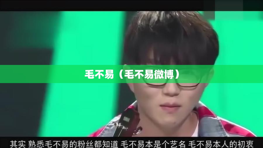 毛不易（毛不易微博）