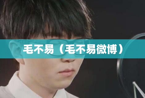 毛不易（毛不易微博）
