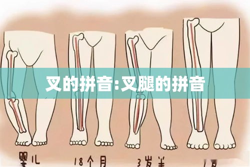 叉的拼音:叉腿的拼音