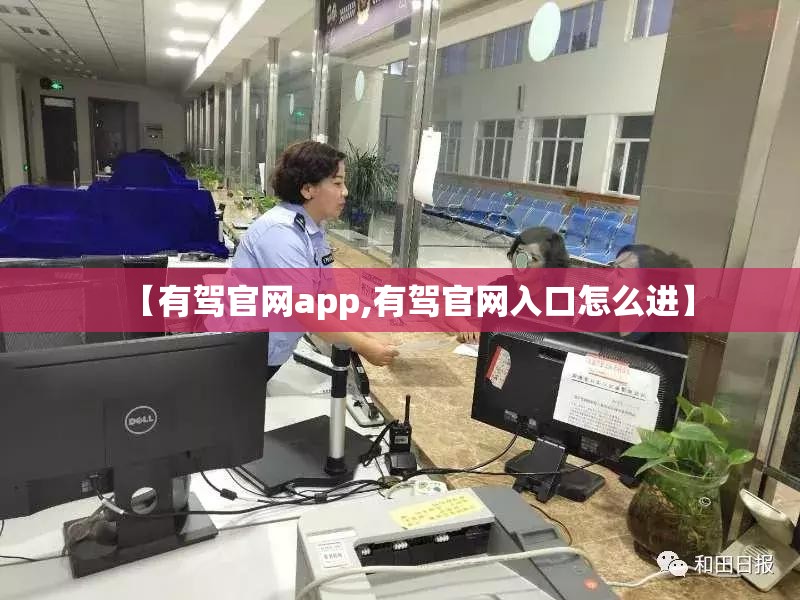 【有驾官网app,有驾官网入口怎么进】