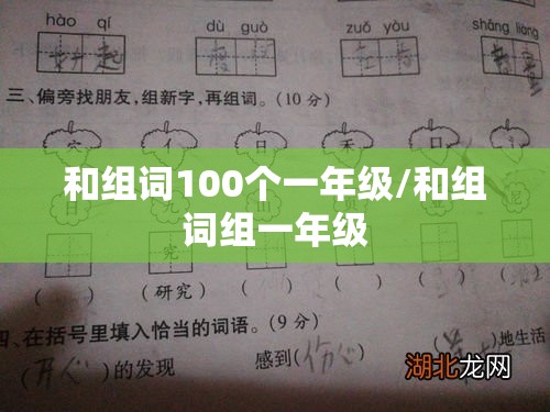 和组词100个一年级/和组词组一年级