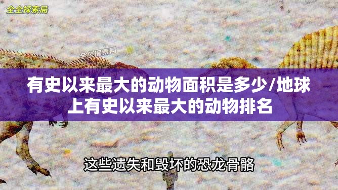 有史以来最大的动物面积是多少/地球上有史以来最大的动物排名