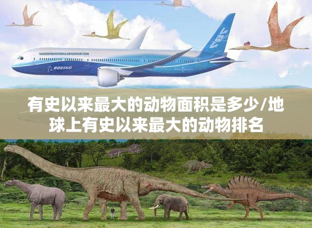 有史以来最大的动物面积是多少/地球上有史以来最大的动物排名