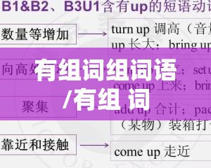 有组词组词语/有组 词