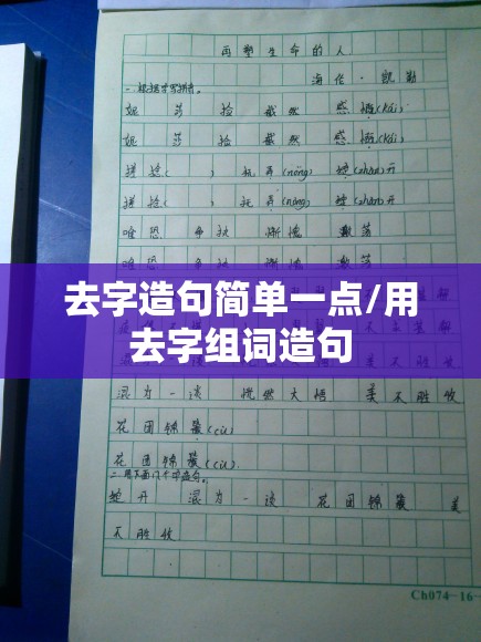 去字造句简单一点/用去字组词造句