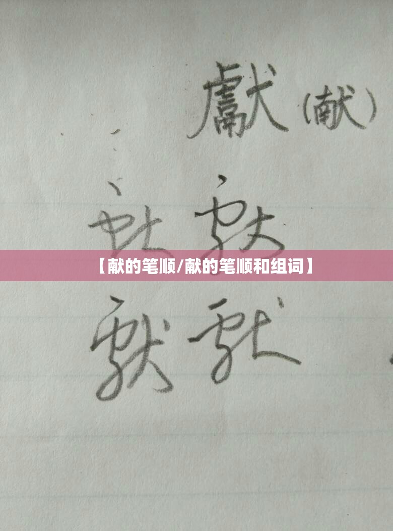 【献的笔顺/献的笔顺和组词】