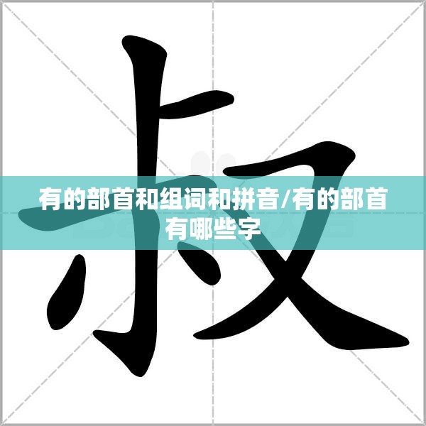 有的部首和组词和拼音/有的部首有哪些字