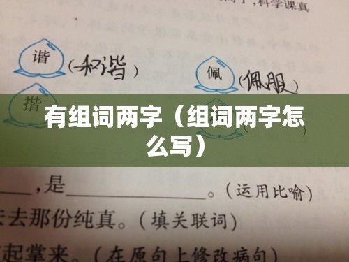 有组词两字（组词两字怎么写）