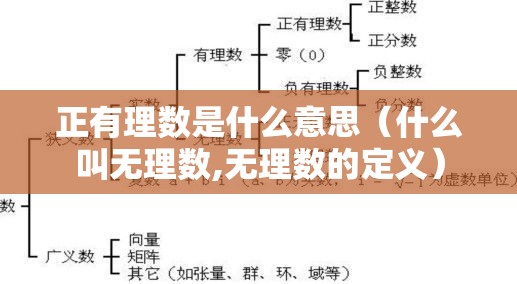 正有理数是什么意思（什么叫无理数,无理数的定义）