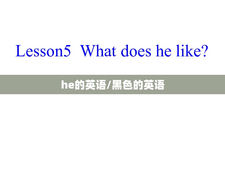 he的英语/黑色的英语