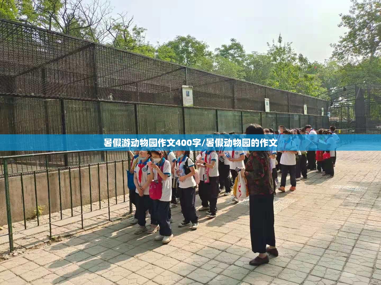 暑假游动物园作文400字/暑假动物园的作文