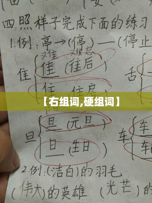 【右组词,硬组词】