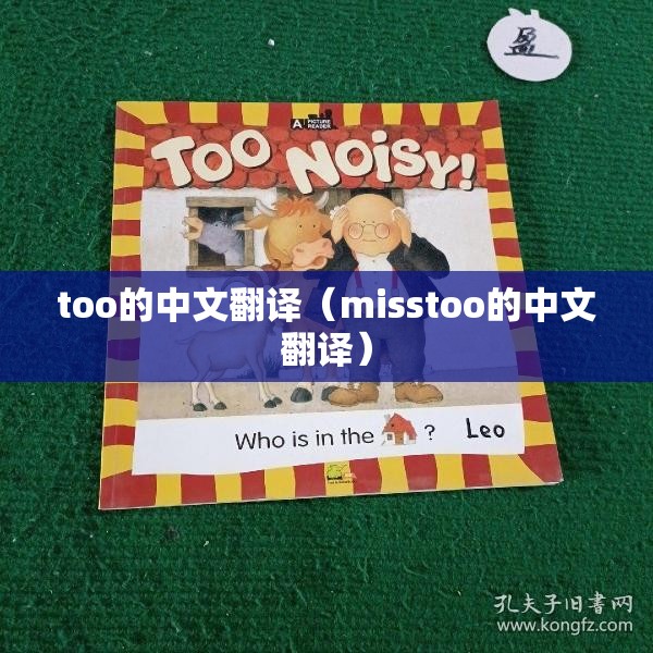 too的中文翻译（misstoo的中文翻译）