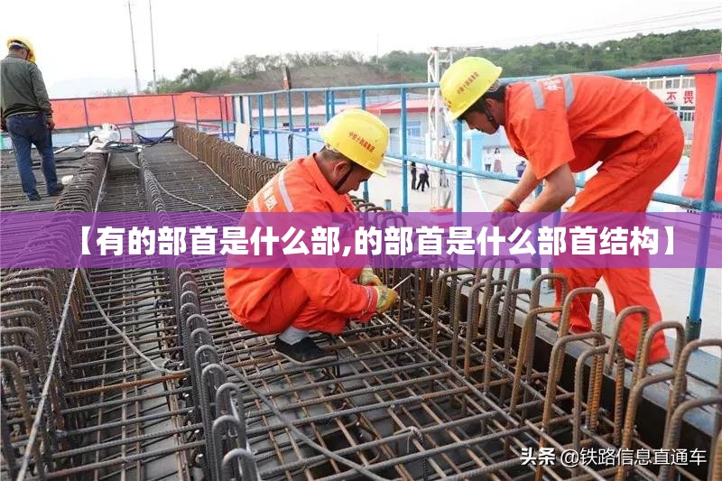【有的部首是什么部,的部首是什么部首结构】