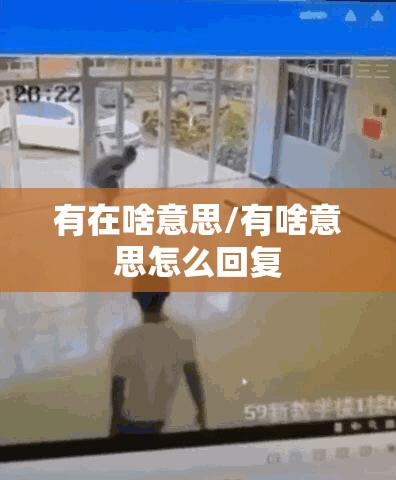 有在啥意思/有啥意思怎么回复