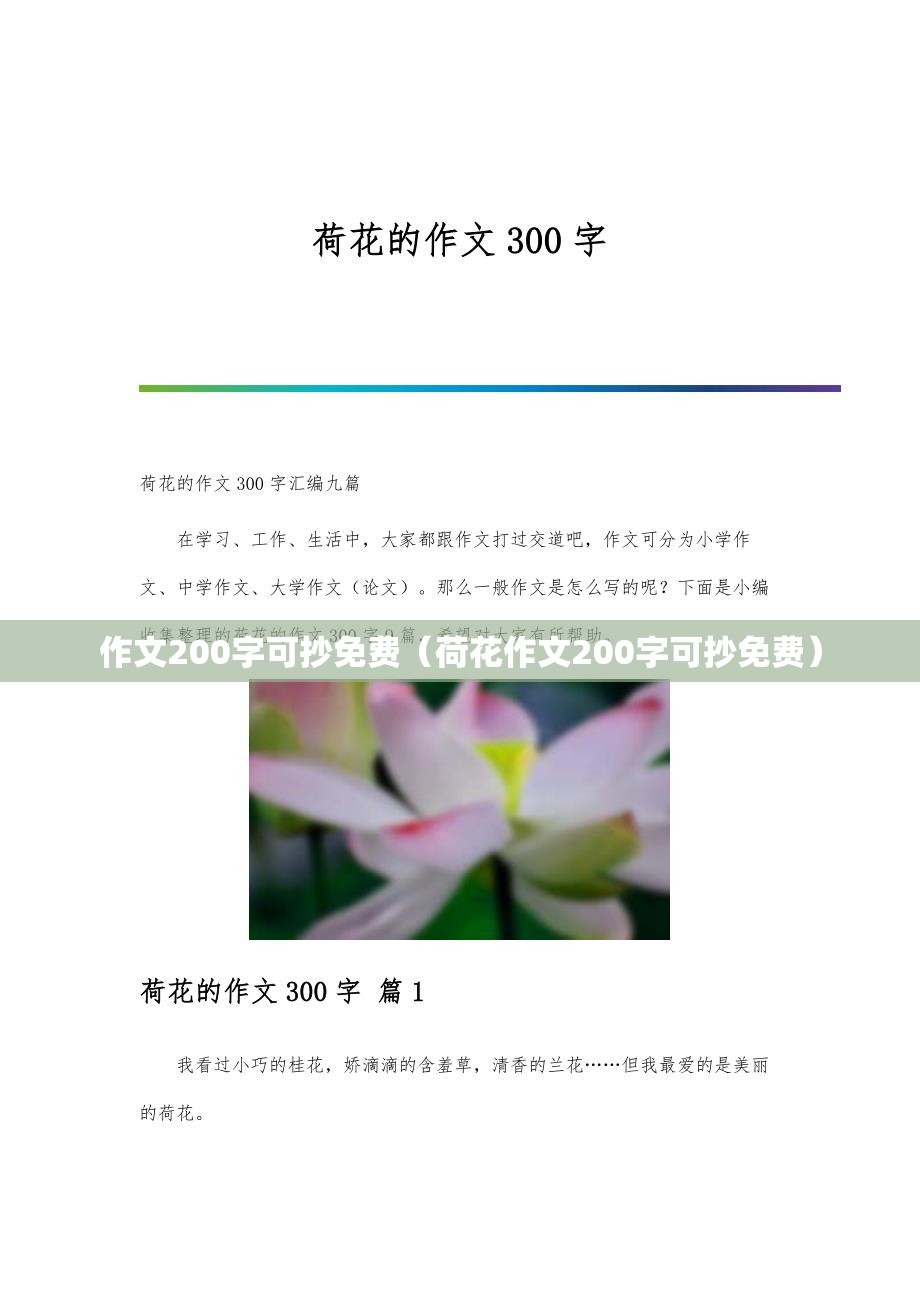 作文200字可抄免费（荷花作文200字可抄免费）