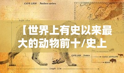 【世界上有史以来最大的动物前十/史上世界上最大的动物】