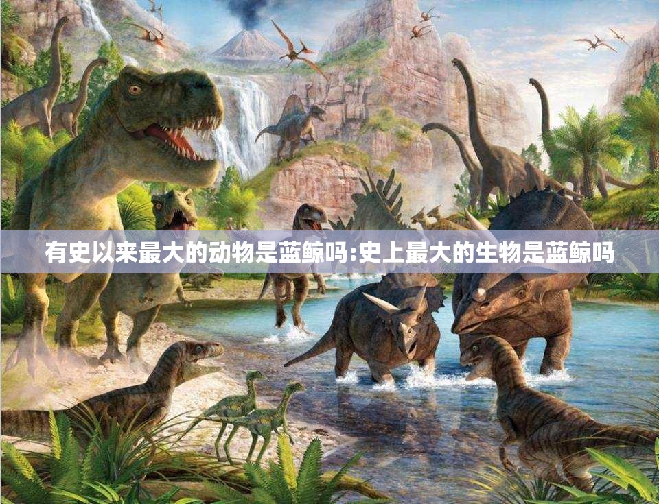 有史以来最大的动物是蓝鲸吗:史上最大的生物是蓝鲸吗