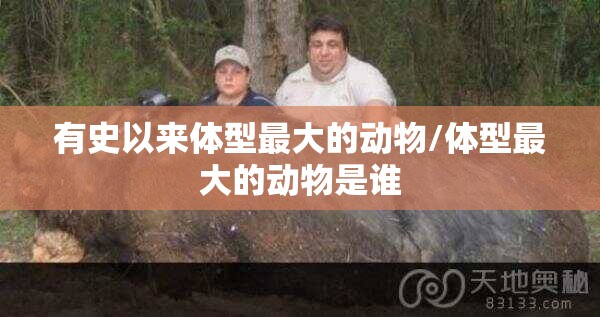 有史以来体型最大的动物/体型最大的动物是谁