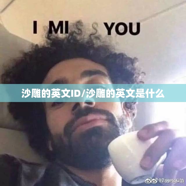沙雕的英文ID/沙雕的英文是什么