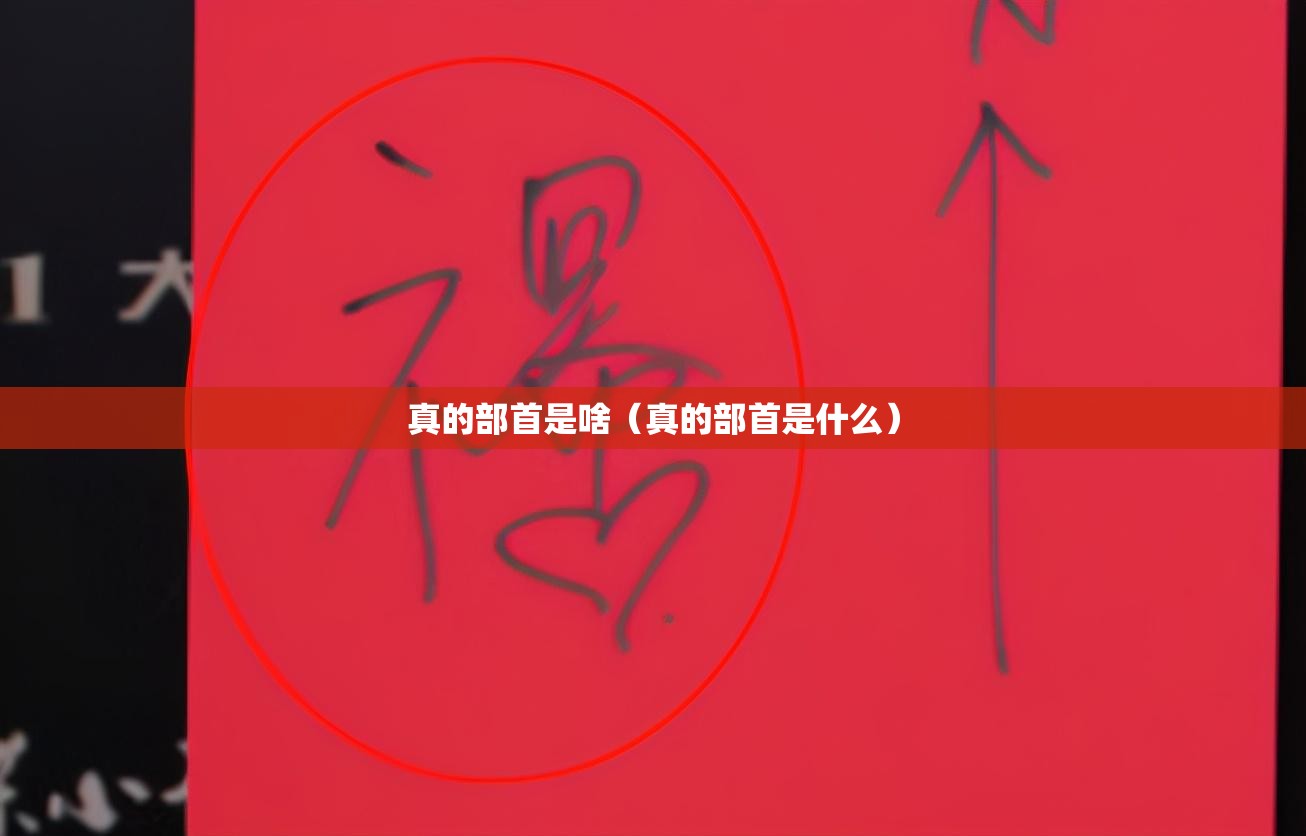 真的部首是啥（真的部首是什么）